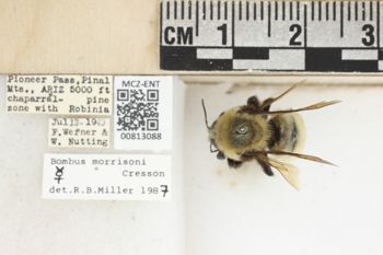 Media type: image;   Entomology 813088 Aspect: labels